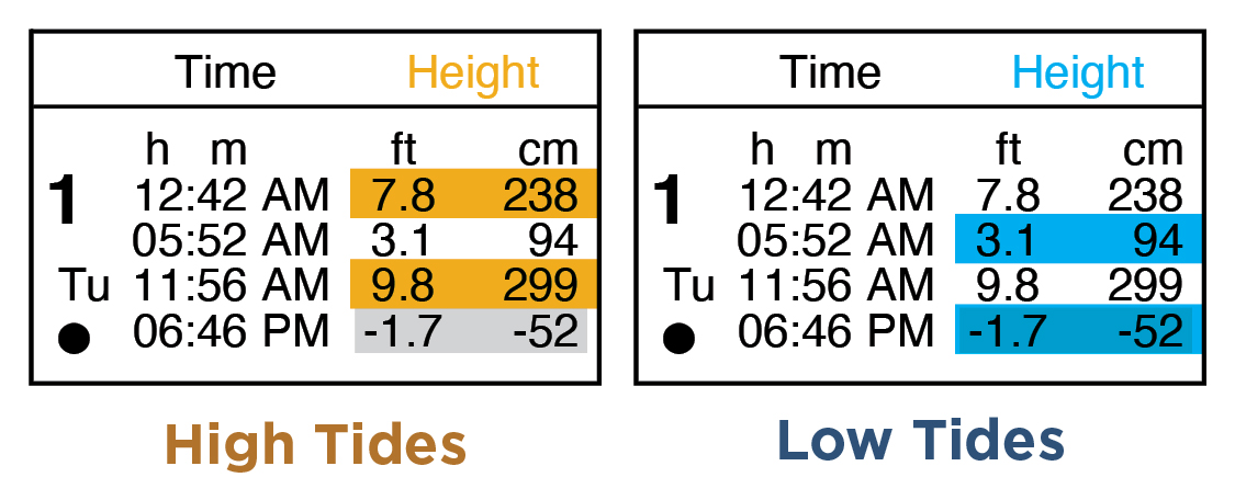 Tide Chart - Oregon Coast Aquarium