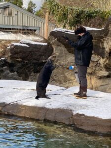 Nuka stands with Mammalogist Becca