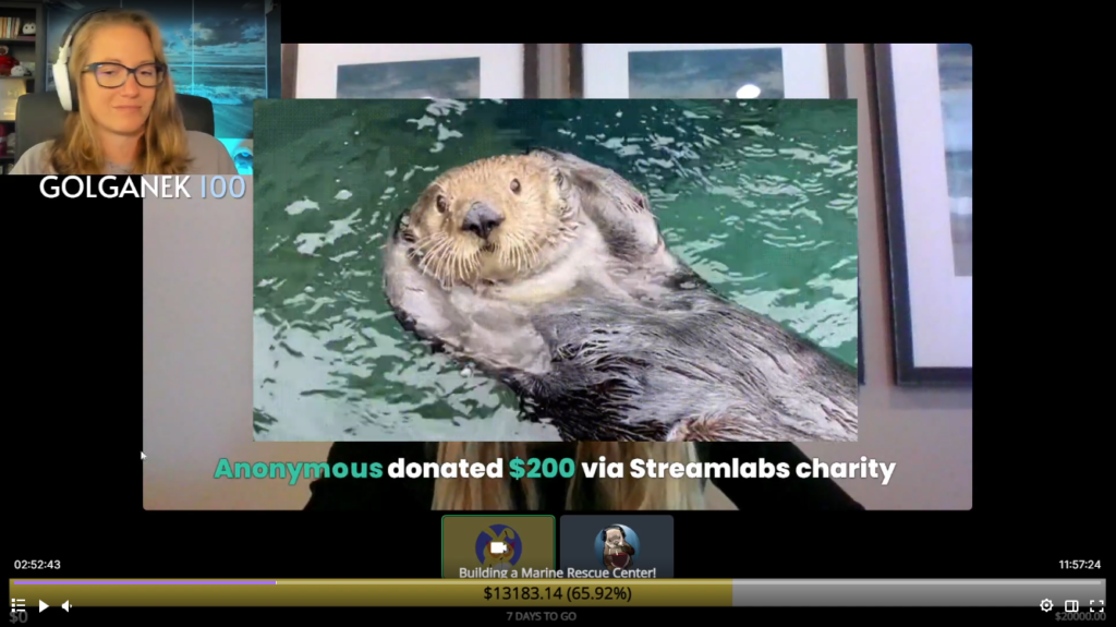 A screenshot from the KPassionate fundraiser live stream shows a sea otter with its paws above its head, the text below reading "Anonymous donated $200 via Streamlabs charity"