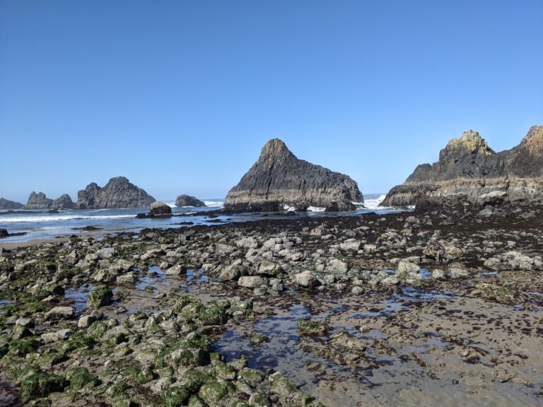 Exposed rocks covered in algae are in the forefront, with rocky outcroppings jutting vertically from the ocean in the background,