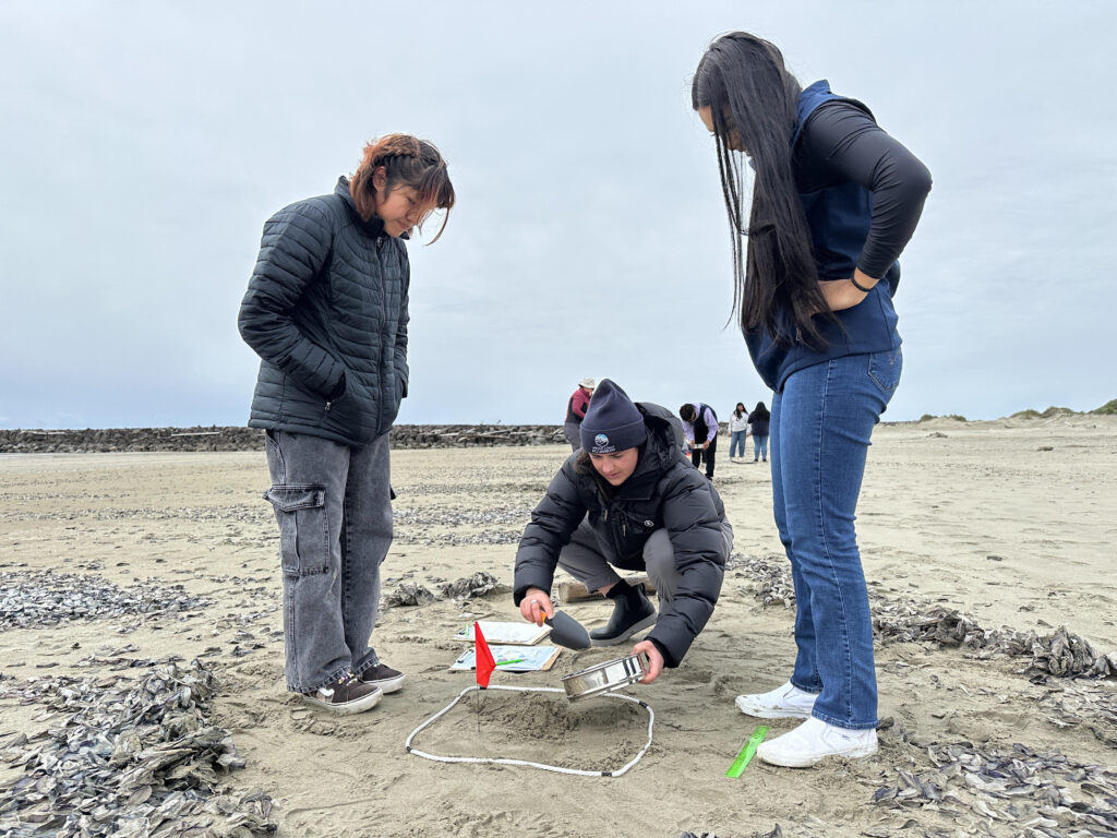 Skye Whitney demonstrates the sifting process