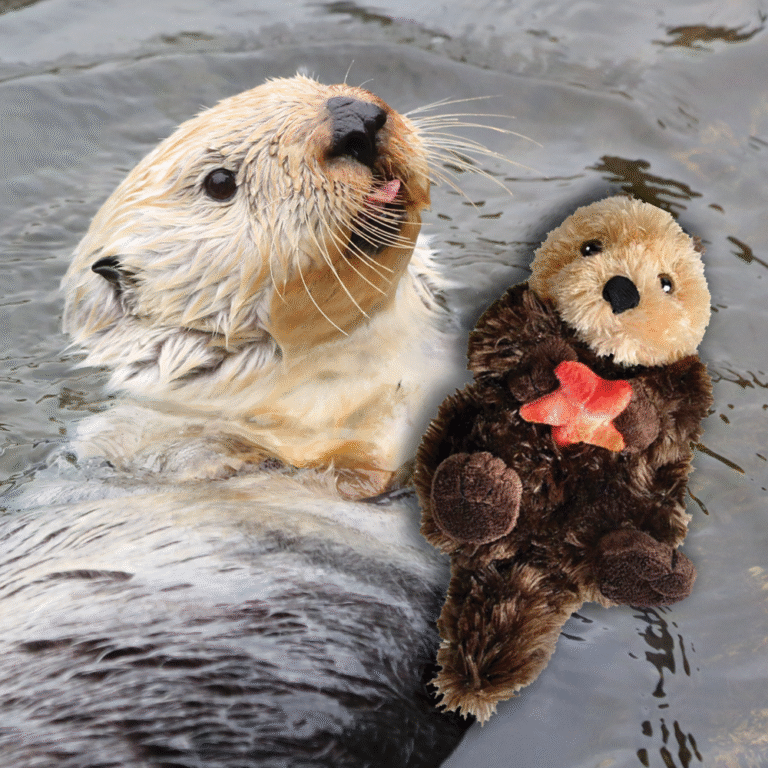 Otter Adoption with plush