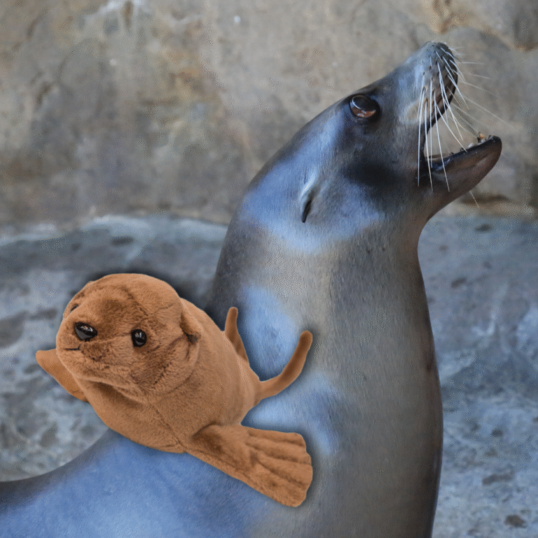 Sea Lion Adoption with plush