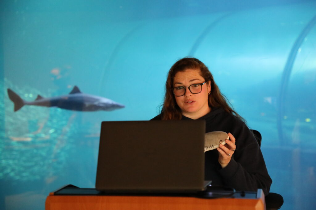 Shark Virtual Program