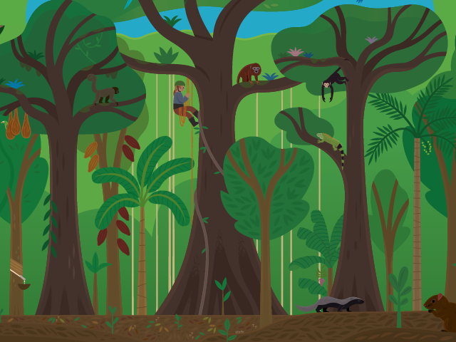 Illustrated scene of the Terra Firme Rainforest ecoregion featuring towering trees and Amazon canopy wildlife