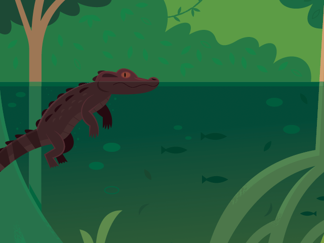 Illustrated Flooded Forest ecoregion with submerged trees and a Cuvier's dwarf caiman in the Amazon Basin exhibit