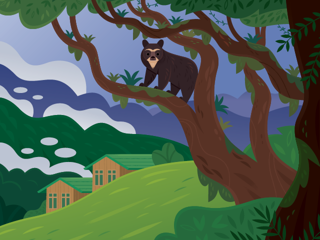 Illustrated Cloud Forest ecoregion showing mist-covered Andean forest with orchids and ferns in the Amazon Basin exhibit